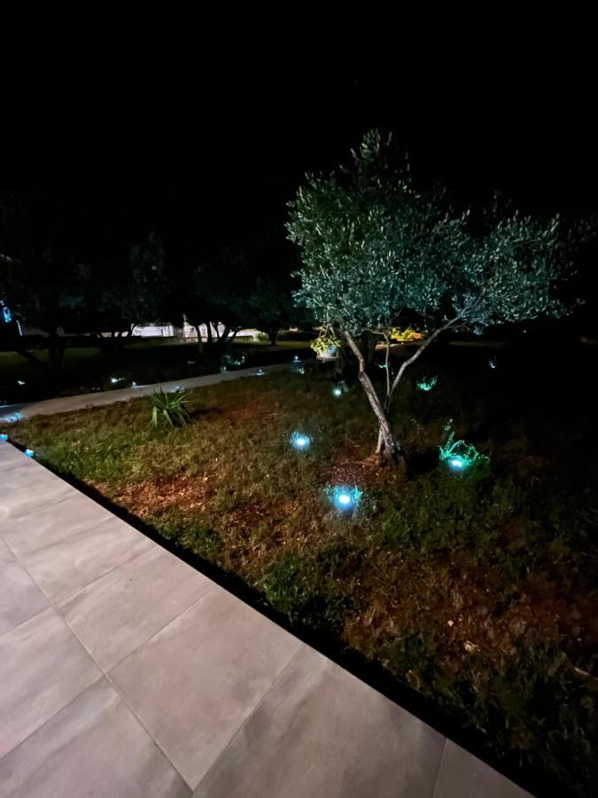 Apartman Oliva Zadar Exterior foto